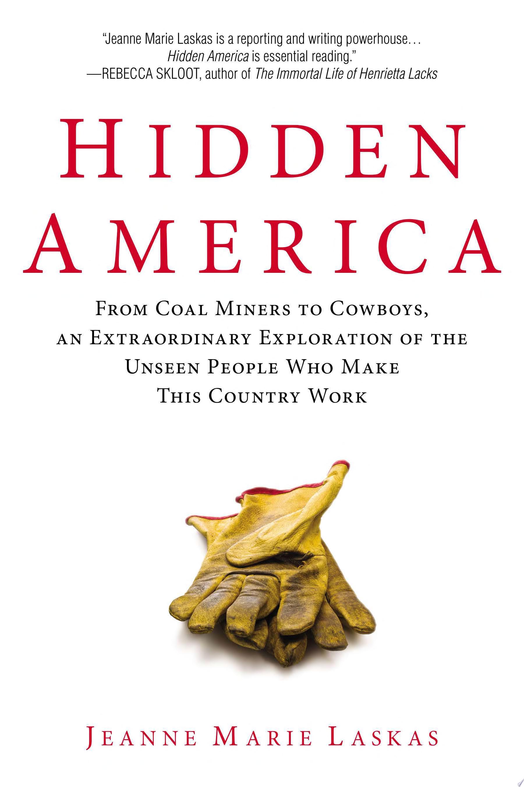 Image for "Hidden America"