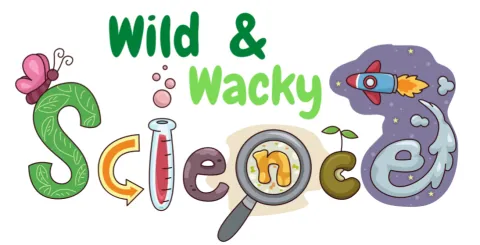 Wild & Wacky Science Science with science clipart