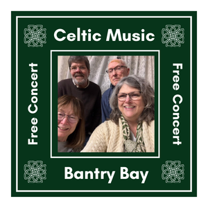 Image of the four Bantry Bay band members.