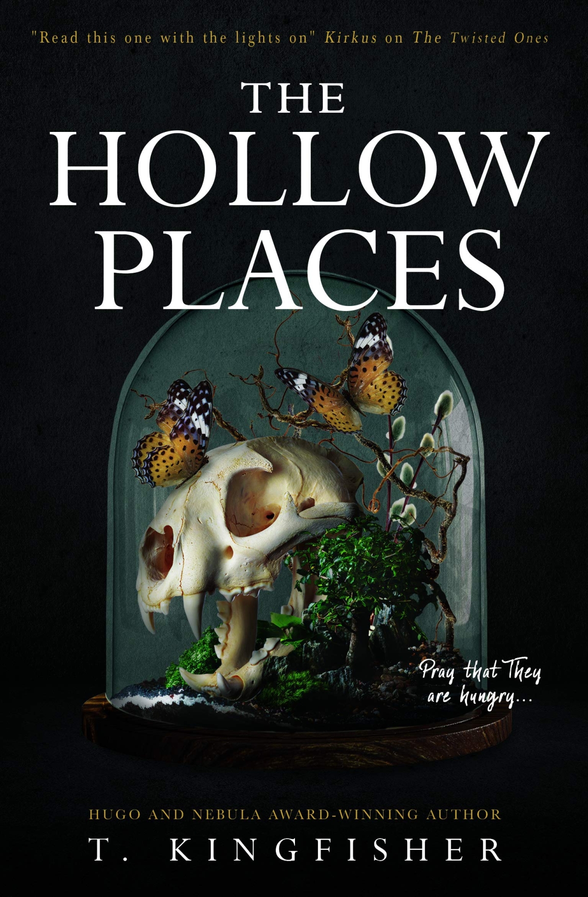 The Hollow Places  by T. Kingfisher